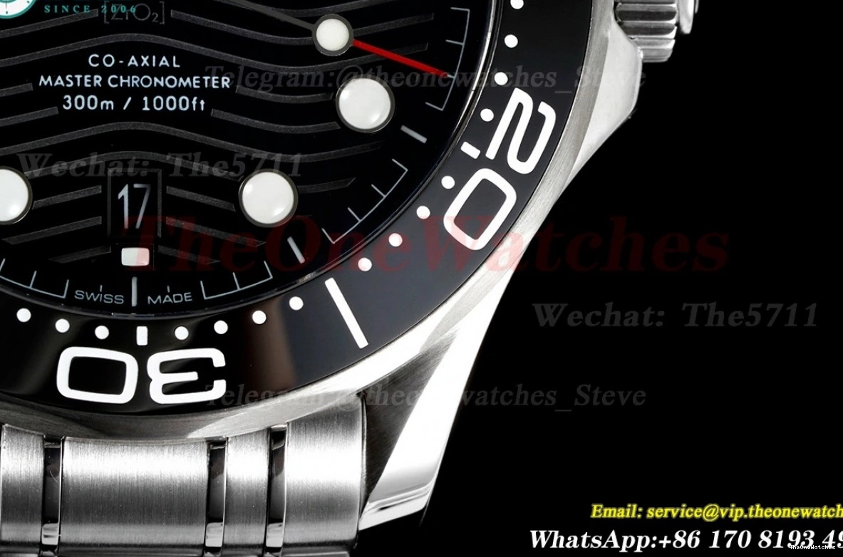 8800 Asia 300m SS 2018 Seamaster ORF Black SS 0113